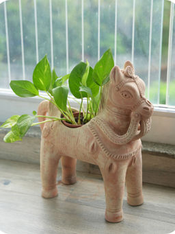 Swadeh - Horse Pasture Planter