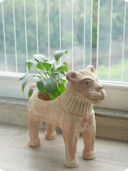 Swadeh - Lion King Planter