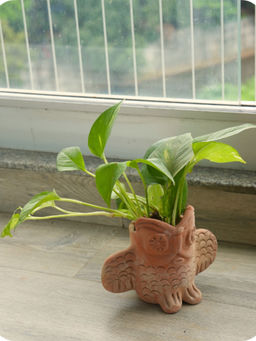 Swadeh - Mini Owl Oasis Planter