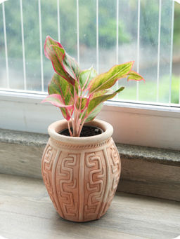 Swadeh - Geo Linea Planter