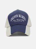 Blue color option, Currently selected