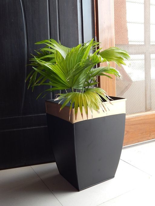 Ecofynd Midland 12Inches Black Tapered Planter