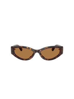 SWAROVSKI - Women Acetate Brown Full Rim Cat Eye Sunglass (0SK6045U)-55