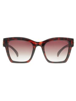 Scott Sunglasses - Women Plastic Brown Square Full Rim Sunglass (Scott 3165 Rhodes C2 S )-50