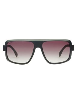 Scott Sunglasses - Men Plastic Brown Square Full Rim Sunglass (Scott 3177 Rubert C2 S )-58