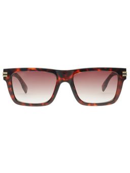 Scott Sunglasses - Unisex Acetate Brown Rectangle Full Rim Sunglass (Scott 3192 Melor C3 S )-54