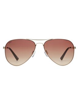 Scott Sunglasses - Men Metal Brown Aviator Full Rim Sunglass (Scott 3202 Eriks C1 S )-59