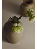 Beige color option, Currently selected