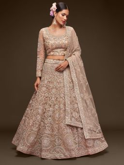 Pink Ethnic - Beige Net Embroidered Semi-Stitched Lehenga With Unstitched Blouse & Dupatta