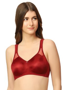 Triumph - Minimizer 121 Wireless Non Padded Comfortable High Support Big Cup Bra