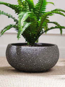 Pure Home + Living - Antique Black Polyfibre Clay Pot