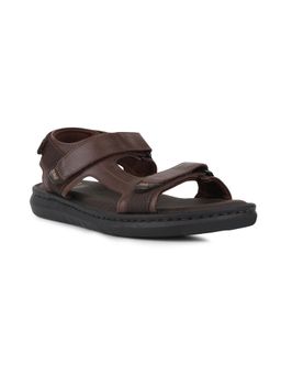 Scholl - Men Brown Casual Sandals