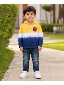 Bumzee - Multi Boys Full Sleeves Hooded Zipper Sweatshirt