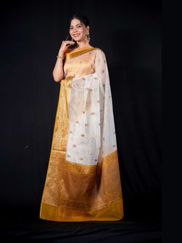Isadora Life - Multi-Color Woven Pre-Draped Saree with Unstitched Blouse
