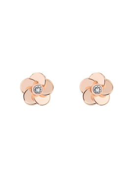 ted baker pelipa