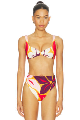 Cala de la Cruz - Leon Women's Twist Front Bikini Top Multi-Color