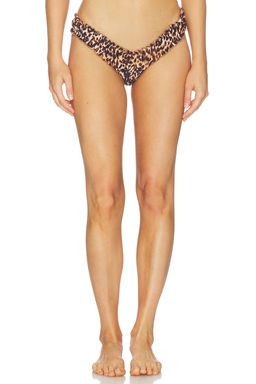 Juillet - Chloe Women's Pull-On Stretch Bikini Bottom Leopard Print