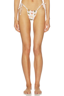 Montce - Brasil Women's Scrunch Side Tie Bikini Bottom Monarch