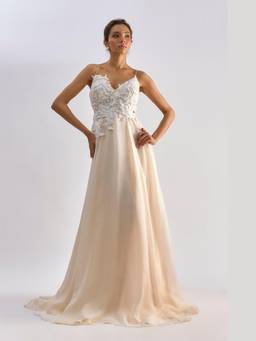 EMBLAZE - Peach Organza Embellished Organza Gown