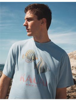 American Eagle - Men Blue Burnout Graphic T-Shirt