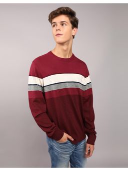 American Eagle - Red Striped Crew Neck Sweater