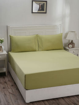 Maspar - Colorart Eden 144 TC Cotton Solid Sage Green Single Fitted Sheet with 1 Pillow Cover (Single)