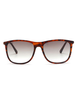 Scott Sunglasses - Gradient Grey Lens Wayfarer Sunglass Demi Brown Frame - 2530 C2 Harley 55