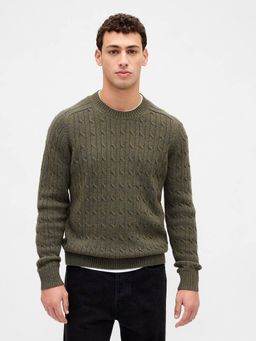 GAP - Men Olive Knitted Textured Sweater