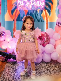 CHUCKLES AND CUDDLES - Girls Pink Embroidered Net Dress
