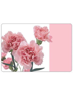 Freelance - PVC Table Kitchen & Placemats x 45 cm & Coaster 10 x 10 cm