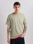 Green color option, Currently selected