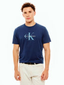 Blue color option, Currently selected