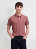 Mauve color option, Currently selected