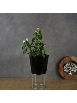 Manor House - Black Planter With Metal Riser 9.6 Inches