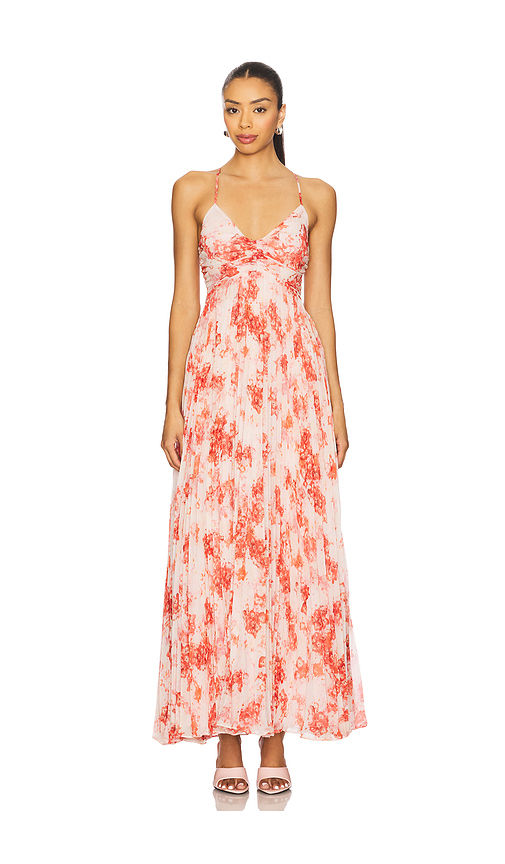 Darcie Maxi Dress-picture-22