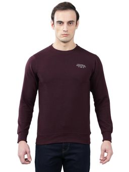 Cantabil - Men Wine Striped Winter Wear Sweatshirt