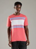 Coral color option, Currently selected