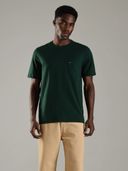 Green color option, Currently selected