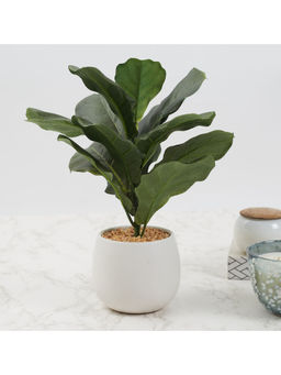 HomeTown - Ilana Faux Fiddle Ceramic Potted Plant 40 Cm in Green Colour