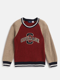 Chicco - Boys Colorblock Brown Sweater