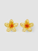 Orange color option, Sold out