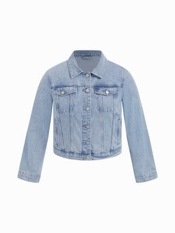 Cider - Shrunken Jacket Curve & Plus