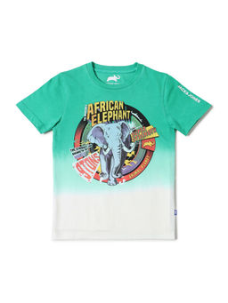 Jack & Jones Junior - BOYS X ANIMAL PLANET Green Ombre Graphic Crew Neck T-shirt
