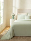 Green color option, Currently selected