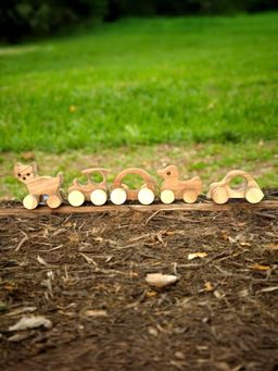 LITTLE GINNIE - Brown Neemwood Wheels (Pack of 5)