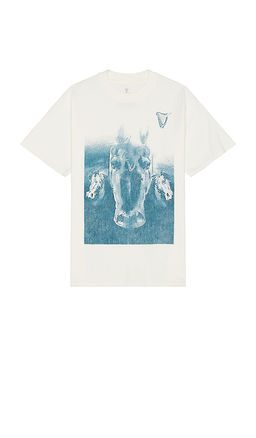 Philcos - Guinness Horse Boxy Tee