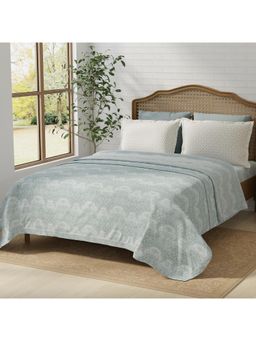 Layers - Pristine 100% Cotton 180 TC Grey King Bedsheet with 2 Pillow Covers