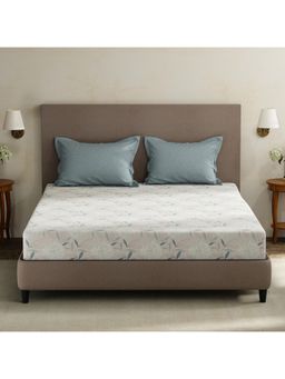 Layers - Forever 100% Cotton 120 TC Grey Floral King Bedsheet with 2 Pillow Covers