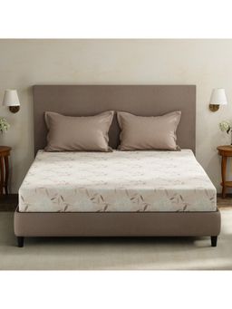 Layers - Forever 100% Cotton 120 TC Brown Floral King Bedsheet with 2 Pillow Covers