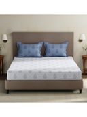 Blue color option, Currently selected